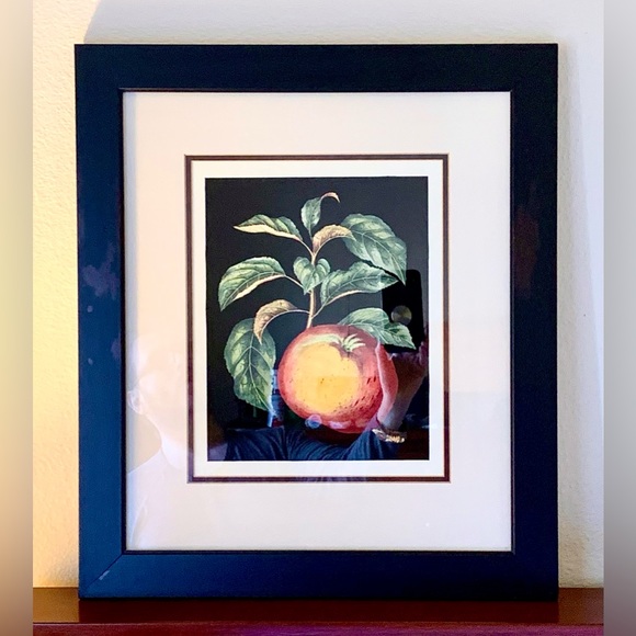 Fruit Theme Framed Art Prints , Set of Two. - Picture 7 of 11